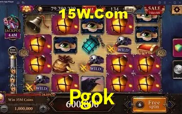 Experiência VIP Pgok